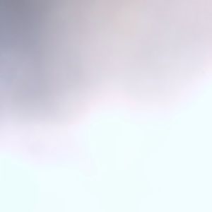 Meet your Posher, Nico